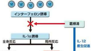 サイトカインストーム症候群 ｜朝倉書店